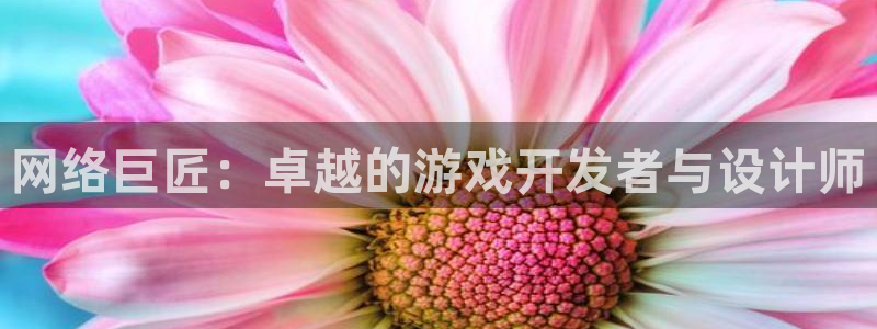 恩佐娱乐手机版最新功能介绍大全：网络巨匠：卓越的游戏开发者与