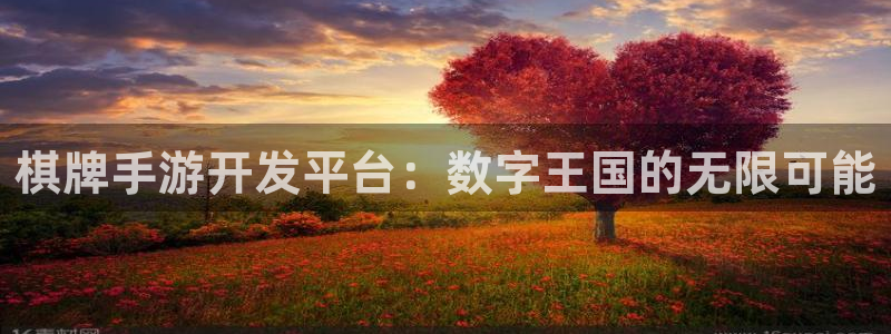 恩佐娱乐手机版最新功能介绍大全：棋牌手游开发平台：数字王国的