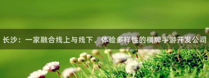 恩佐娱乐：长沙：一家融合线上与线下、体验多样性的棋牌手游开发