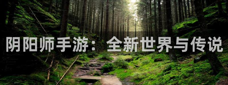 恩佐娱乐平台正规吗安全吗：阴阳师手游：全新世界与传说