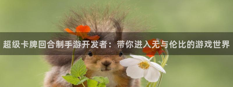 恩佐娱乐注册：超级卡牌回合制手游开发者：带你进入无与伦比的游