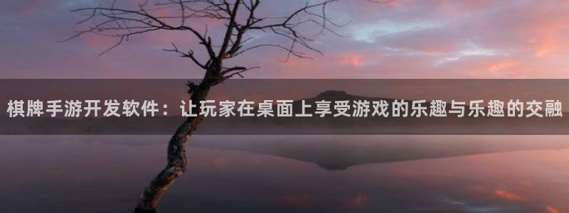 恩佐娱乐：棋牌手游开发软件：让玩家在桌面上享受游戏的乐趣与乐