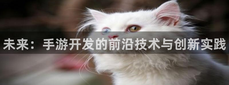 恩佐娱乐平台正规吗知乎：未来：手游开发的前沿技术与创新实践