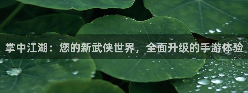 恩佐娱乐手机版最新功能介绍大全：掌中江湖：您的新武侠世界，全