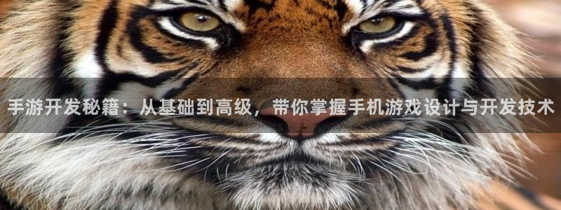恩佐娱乐平台正规吗可靠吗：手游开发秘籍：从基础到高级，带你掌
