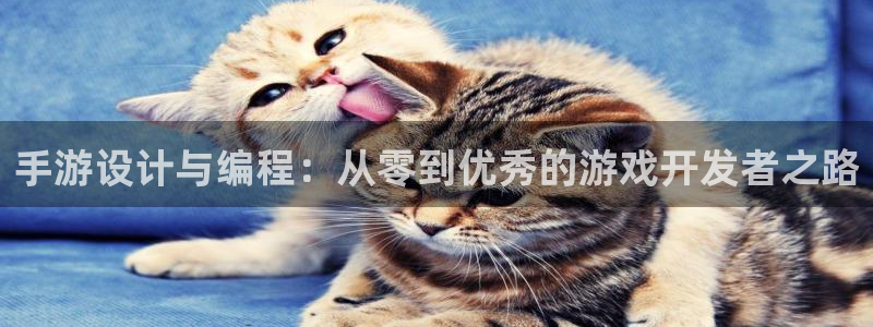 恩佐娱乐：手游设计与编程：从零到优秀的游戏开发者之路