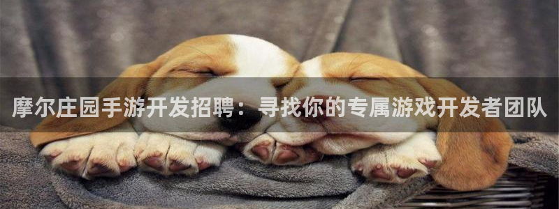 恩佐娱乐官方注册：摩尔庄园手游开发招聘：寻找你的专属游戏开发