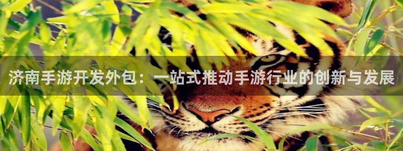 恩佐娱乐1：济南手游开发外包：一站式推动手游行业的创新与发展