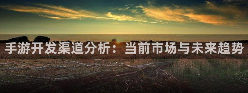 恩佐娱乐手机版最新功能介绍大全：手游开发渠道分析：当前市场与