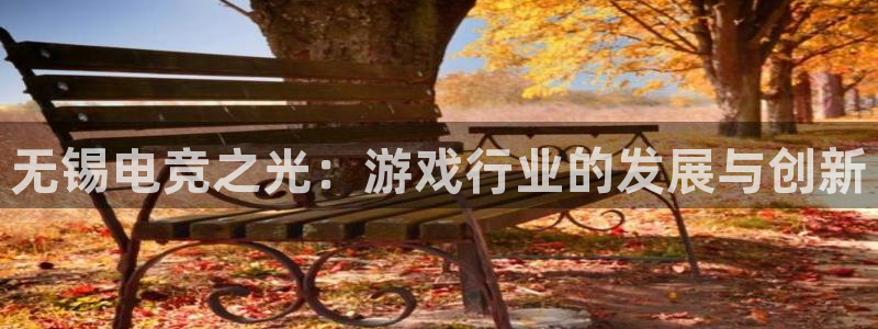 恩佐娱乐：无锡电竞之光：游戏行业的发展与创新