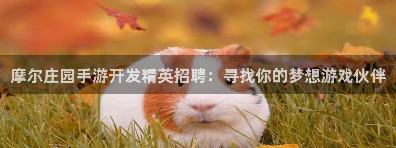 恩佐娱乐平台正规吗安全吗：摩尔庄园手游开发精英招聘：寻找你的