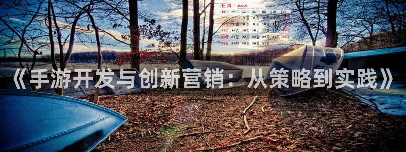 恩佐娱乐1：《手游开发与创新营销：从策略到实践》