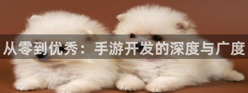 恩佐娱乐：从零到优秀：手游开发的深度与广度