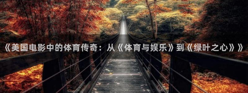 678体育