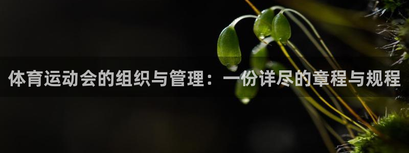 678体育app